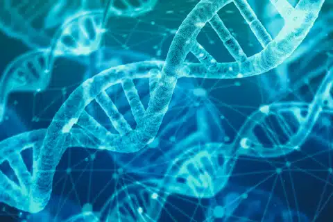 salmon dna pdrn how does it work